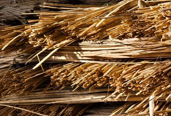 নিংগুও কুন্তাই বাঁশ ও কাঠ কোং, লিমিটেড।