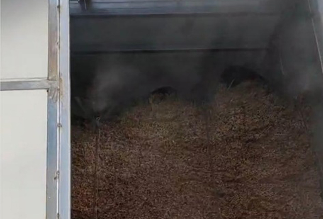 নিংগুও কুন্তাই বাঁশ ও কাঠ কোং, লিমিটেড।