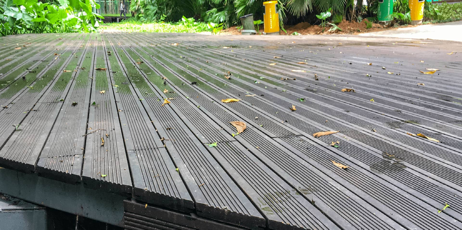 নিংগুও কুন্তাই বাঁশ ও কাঠ কোং, লিমিটেড।