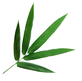 নিংগুও কুন্তাই বাঁশ ও কাঠ কোং, লিমিটেড।